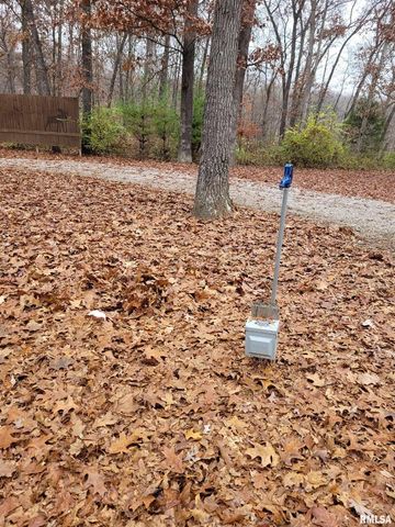 19650 N Pisque Lane, Woodlawn, IL 62898