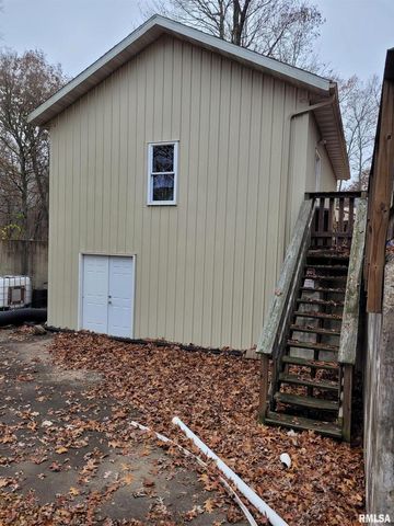 19650 N Pisque Lane, Woodlawn, IL 62898