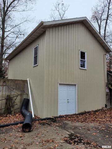 19650 N Pisque Lane, Woodlawn, IL 62898