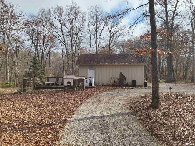 19650 N Pisque Lane, Woodlawn, IL 62898