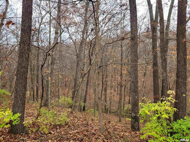 19650 N Pisque Lane, Woodlawn, IL 62898