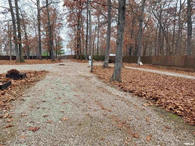 19650 N Pisque Lane, Woodlawn, IL 62898