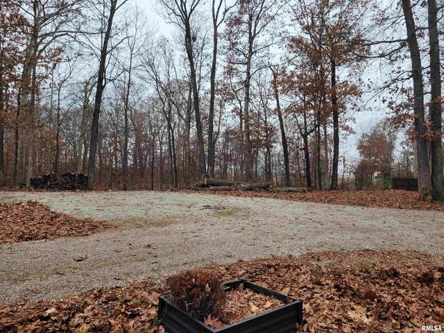 19650 N Pisque Lane, Woodlawn, IL 62898