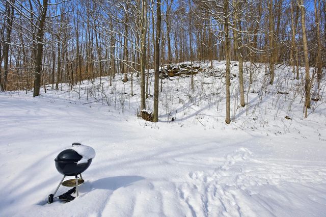 9170 Quicks Run Road, Vanceburg, KY 41179