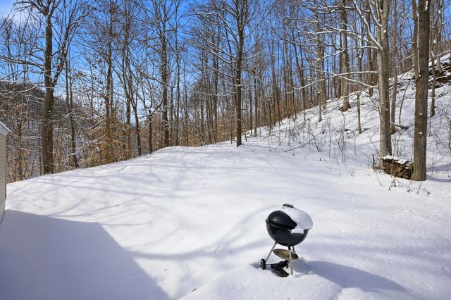 9170 Quicks Run Road, Vanceburg, KY 41179