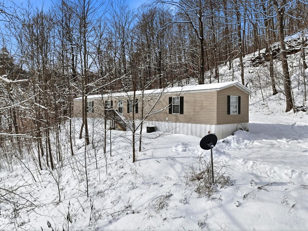 9170 Quicks Run Road, Vanceburg, KY 41179