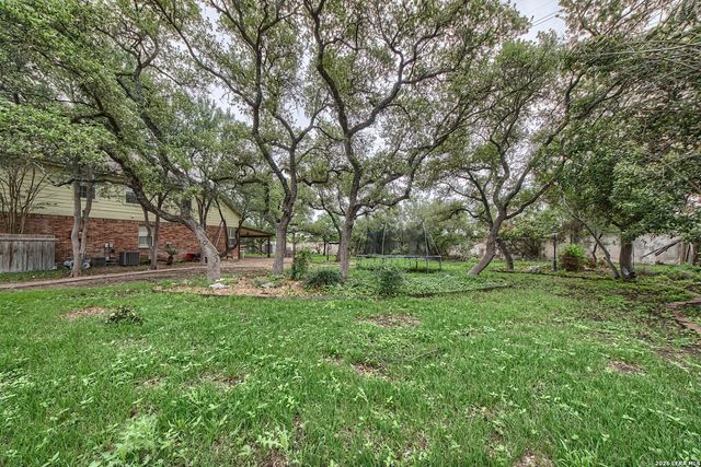 20514 WILD SPRINGS DR, San Antonio, TX 78258