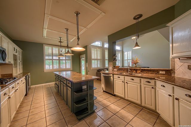 20514 WILD SPRINGS DR, San Antonio, TX 78258