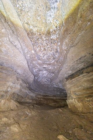 1 Cavern Bunker, Shelbyville, TN 37160