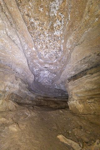 1 Cavern Bunker, Shelbyville, TN 37160