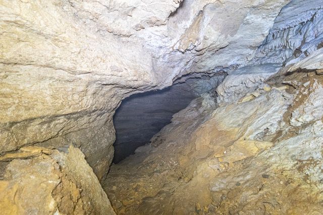 1 Cavern Bunker, Shelbyville, TN 37160