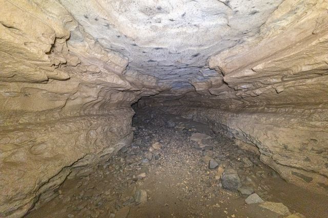 1 Cavern Bunker, Shelbyville, TN 37160