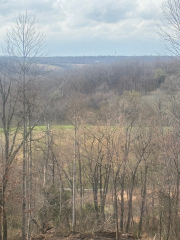 1 Cavern Bunker, Shelbyville, TN 37160