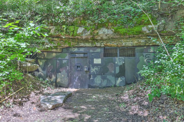 1 Cavern Bunker, Shelbyville, TN 37160