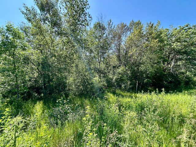 TBD 260TH, Rockwood Twp, MN 56477