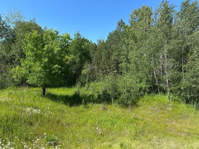 TBD 260TH, Rockwood Twp, MN 56477