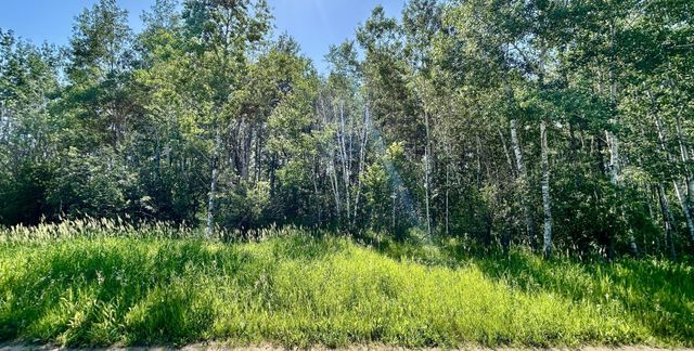 TBD 260TH, Rockwood Twp, MN 56477