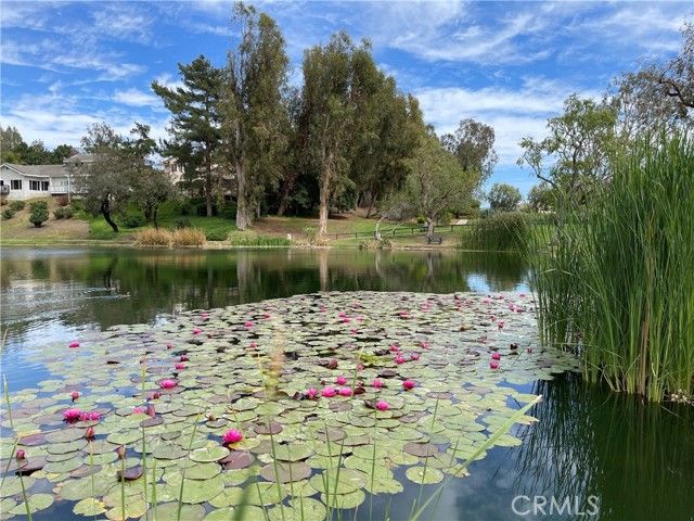 629 N Buttonbush, Orange, CA 92869