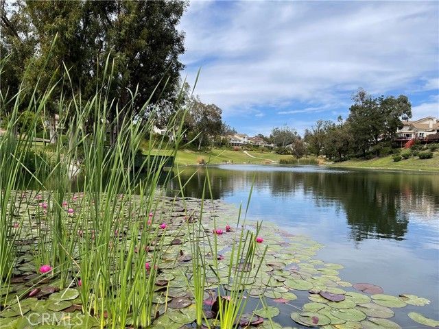 629 N Buttonbush, Orange, CA 92869