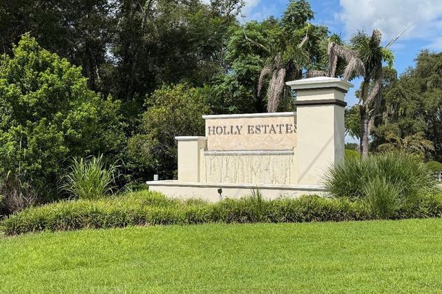 3741 CRIMSON CLOVER DRIVE, Mount Dora, FL 32757