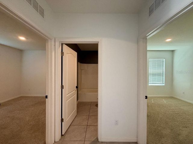 3741 CRIMSON CLOVER DRIVE, Mount Dora, FL 32757