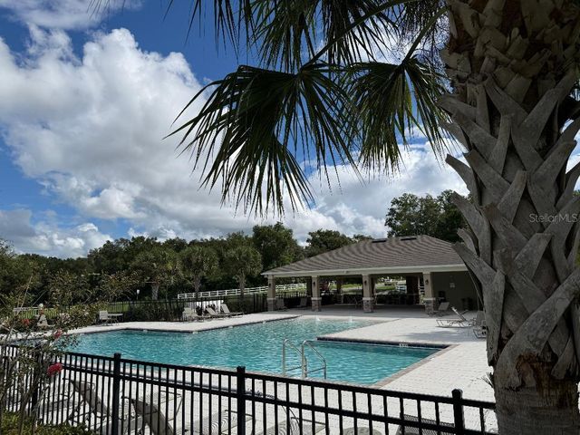 3741 CRIMSON CLOVER DRIVE, Mount Dora, FL 32757
