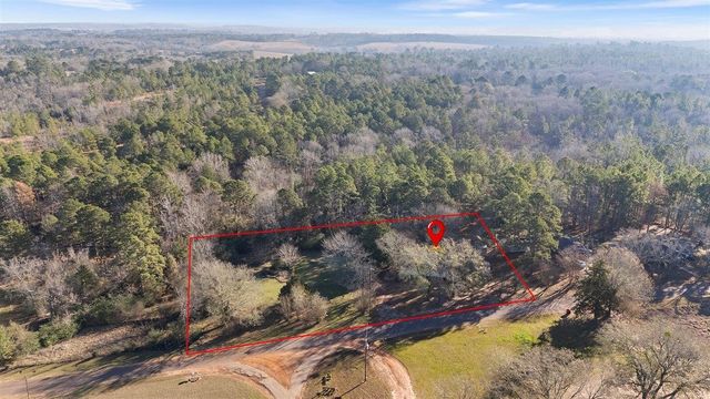 10715 S CR 461, Laneville, TX 75667