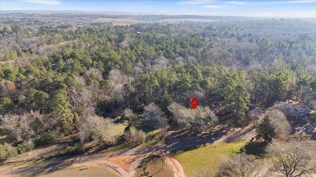 10715 S CR 461, Laneville, TX 75667