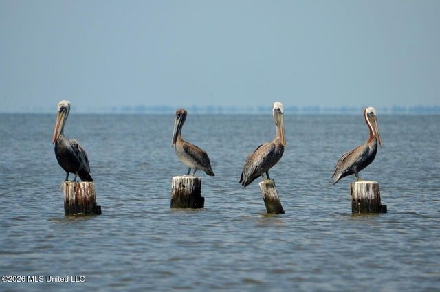 18 Pelican Cove Lane, Long Beach, MS 39560