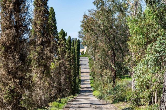 18024 Avenida Alondra, Rancho Santa Fe, CA 92067