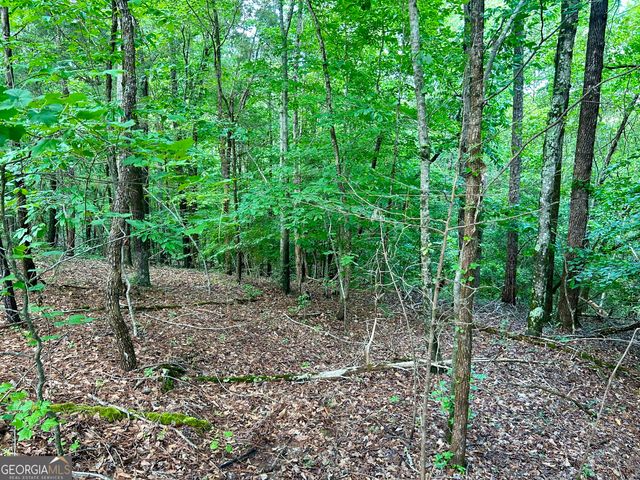 0 Big Oak Drive, Elberton, GA 30635