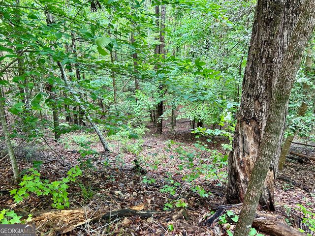 0 Big Oak Drive, Elberton, GA 30635