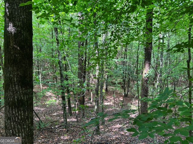 0 Big Oak Drive, Elberton, GA 30635