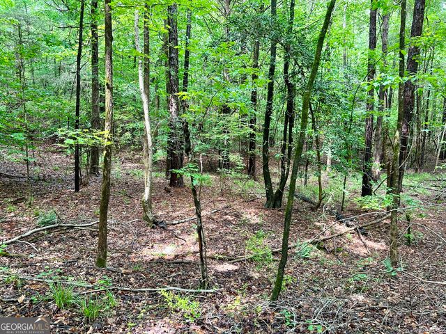 0 Big Oak Drive, Elberton, GA 30635