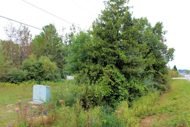 00 Cass Road, Garfield Twp, MI 49684