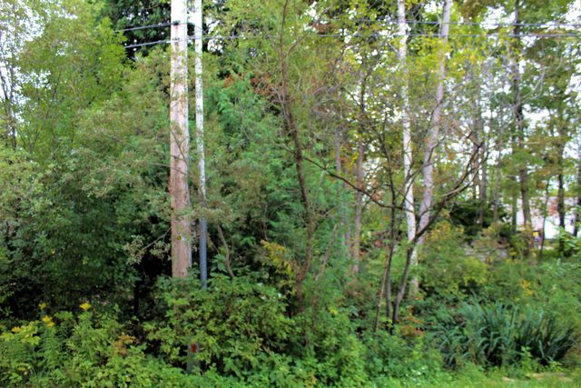 00 Cass Road, Garfield Twp, MI 49684