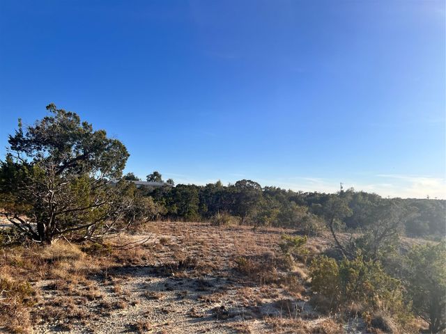 1008 Bell Springs RD, Dripping Springs, TX 78620