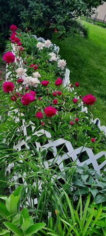 1221 6th Avenue, Dewitt, IA 52742