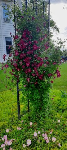 1221 6th Avenue, Dewitt, IA 52742