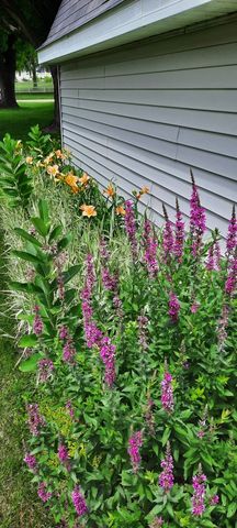 1221 6th Avenue, Dewitt, IA 52742