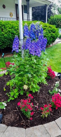 1221 6th Avenue, Dewitt, IA 52742