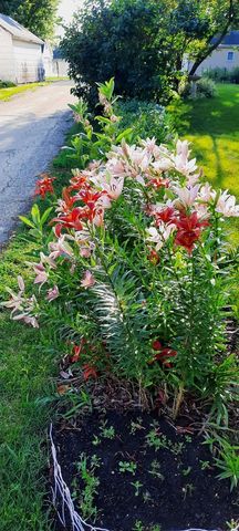 1221 6th Avenue, Dewitt, IA 52742