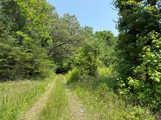 295 Co Rd 296, Bryant, AL 35958