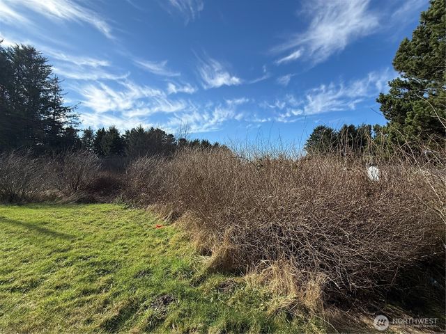 139 xx Pacific Way, Long Beach, WA 98631