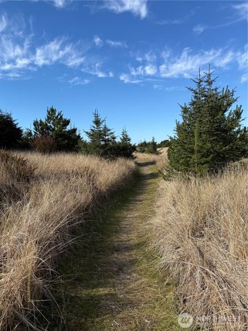 139 xx Pacific Way, Long Beach, WA 98631