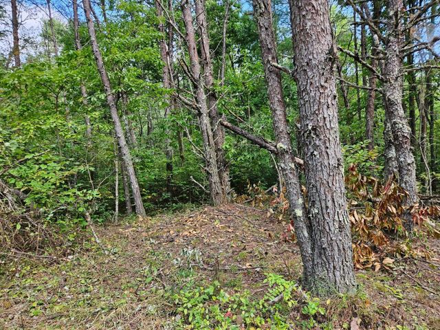 0 Golf Course Road, Copperhill, TN 37317