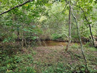 0 Golf Course Road, Copperhill, TN 37317