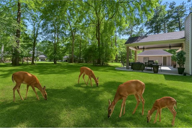 502 Garrett Drive, Magnolia, TX 77354