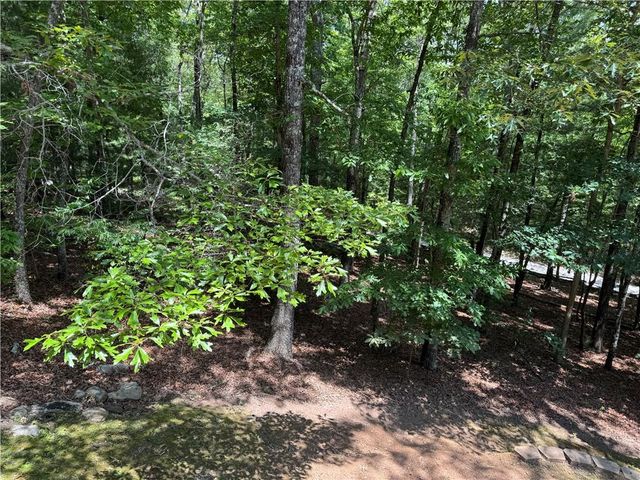 35 Big Buck Circle, Blue Ridge, GA 30513