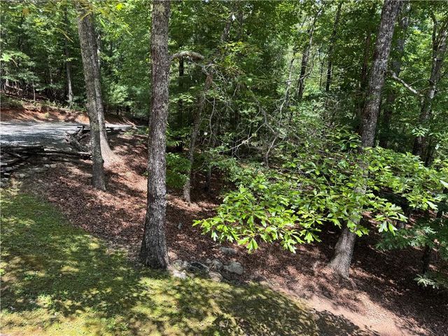 35 Big Buck Circle, Blue Ridge, GA 30513